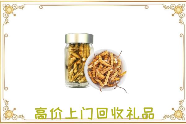 枣庄周边回收虫草